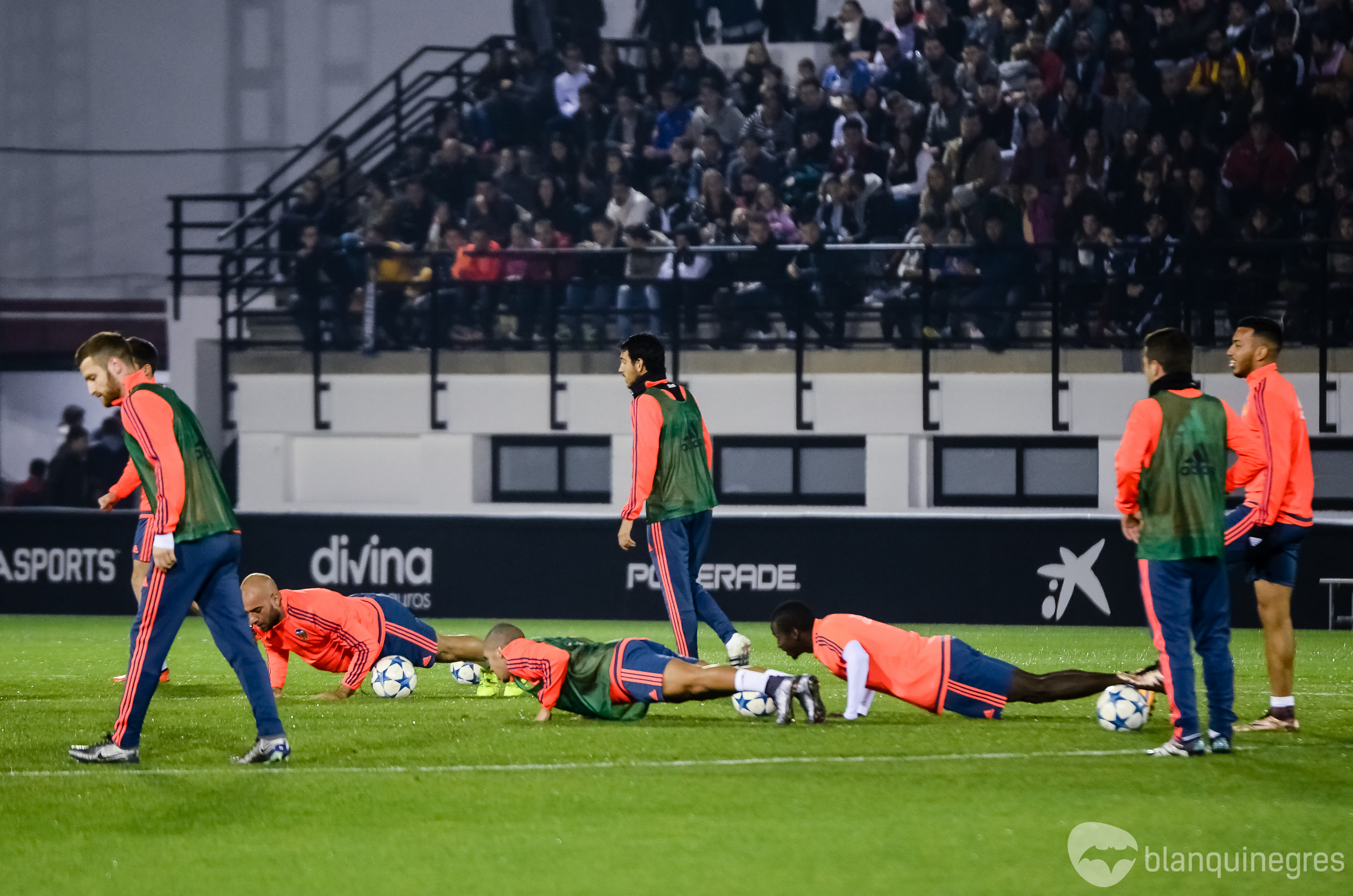 Fotogaleria 13639 | Fotogaleria: Entrenament multitudinari