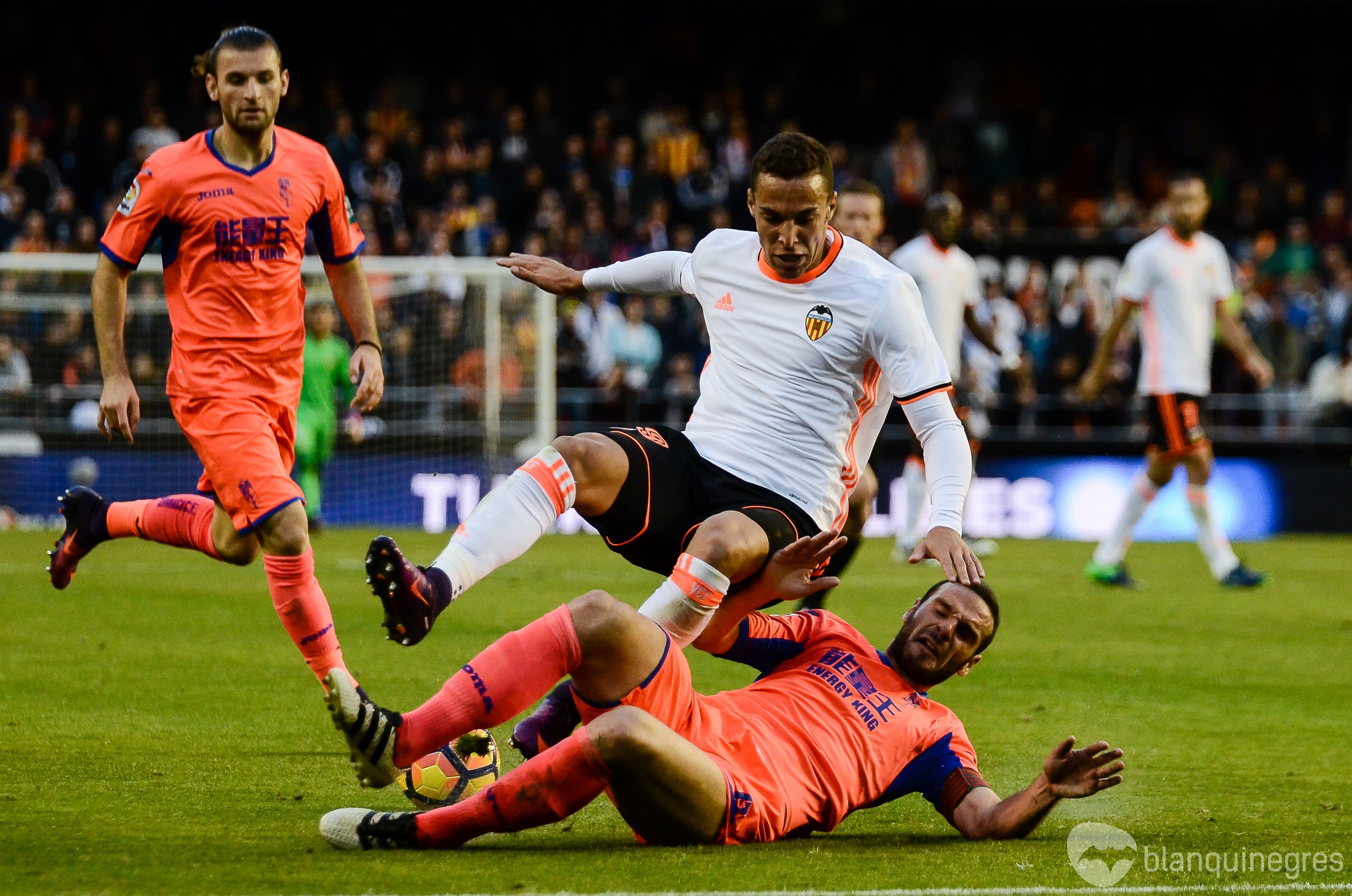 Fotogaleria 23291 | Fotogaleria: Valencia CF – Granada CF