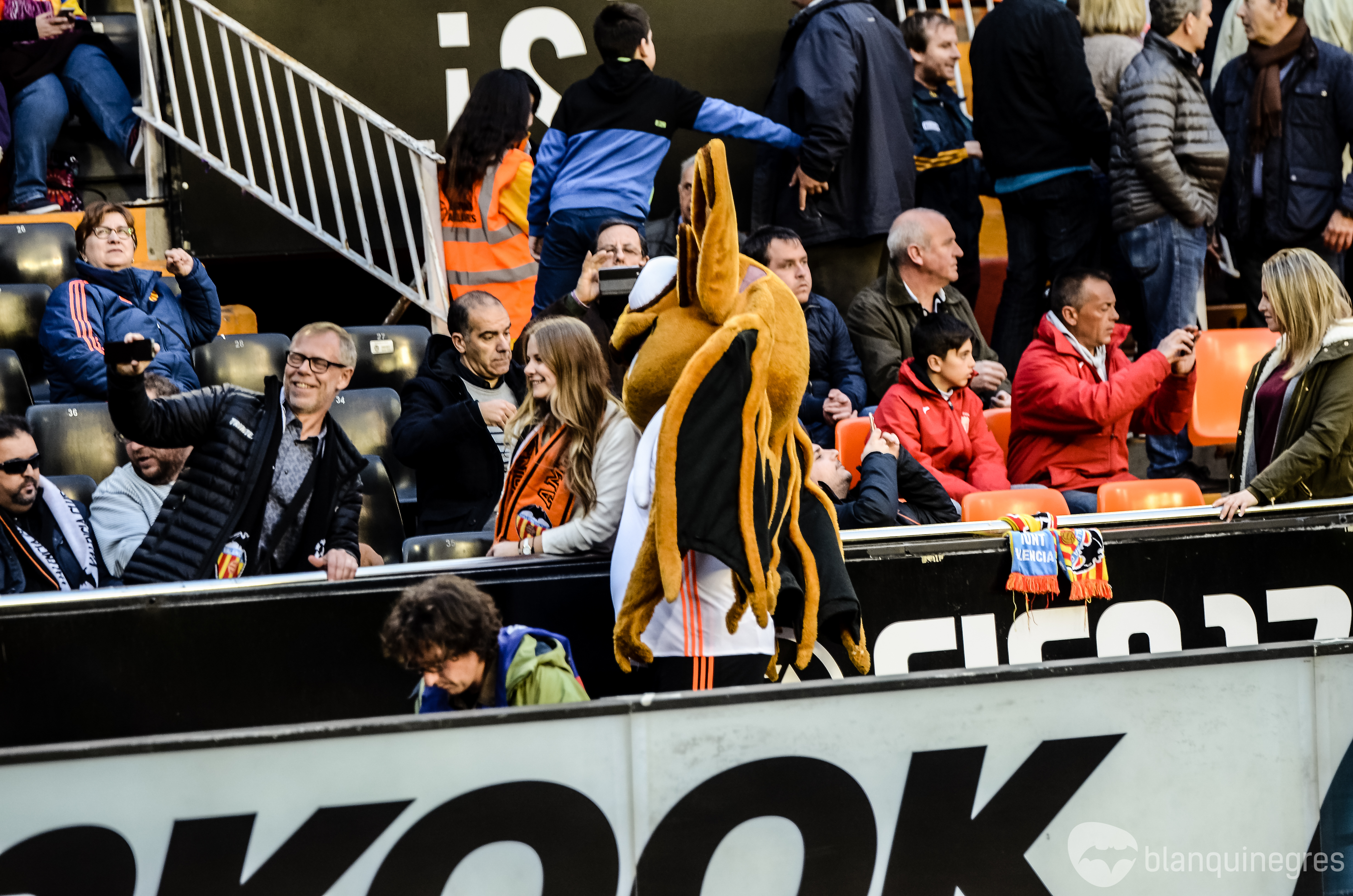 Fotogaleria 25259 | Fotogaleria: Afició (VCF-RMA)