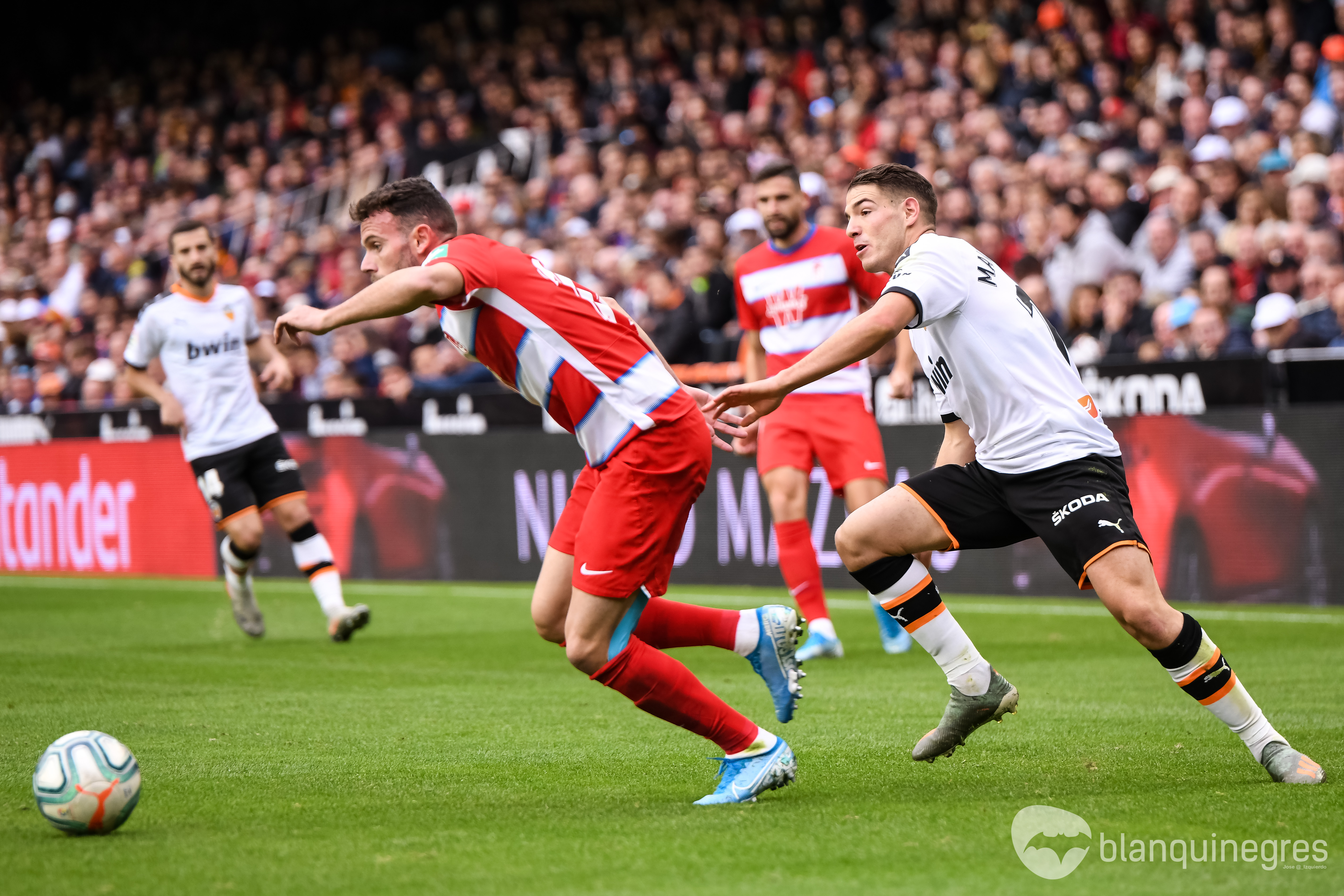Fotogaleria 43863 | Fotogaleria: Valéncia CF – Granada CF