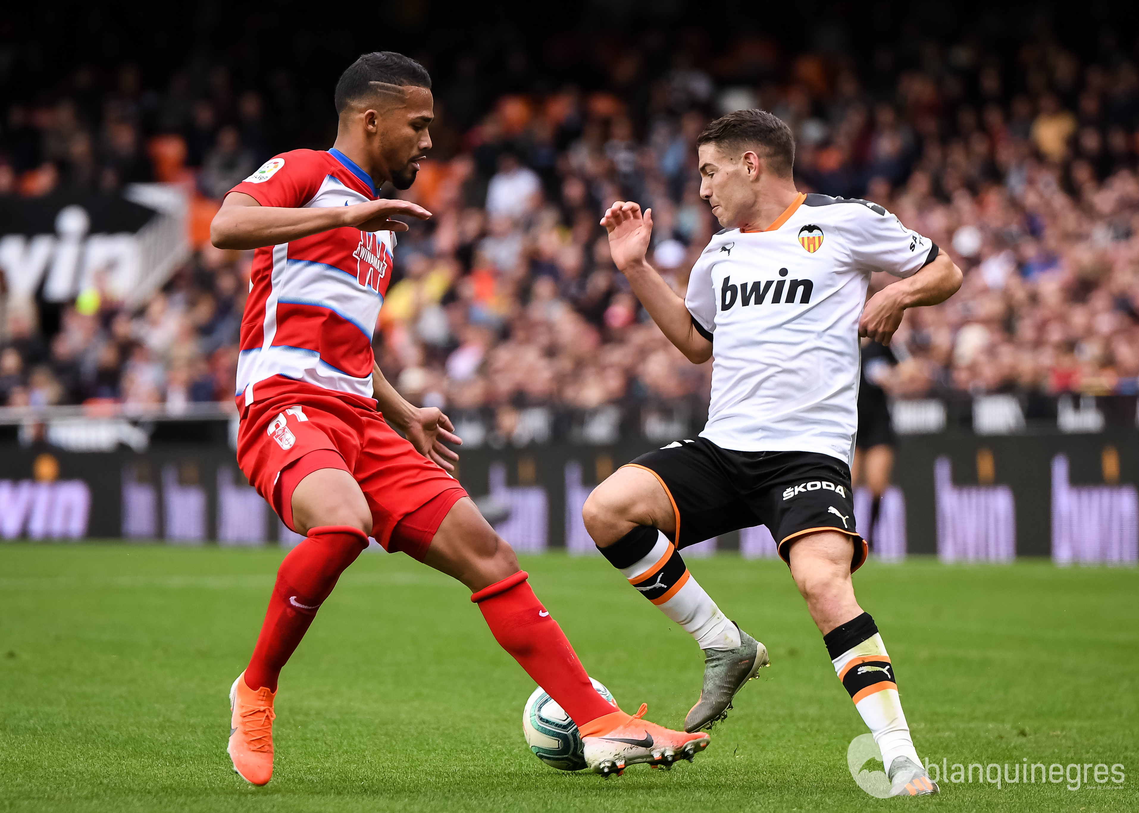 Fotogaleria 43865 | Fotogaleria: Valéncia CF – Granada CF