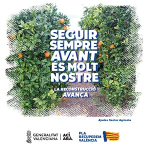Campaña DANA